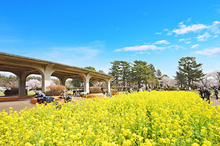 武蔵小金井駅徒歩20分の土地・宅地／フリープランによる新築一戸建て物件