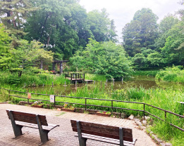 藤が丘公園