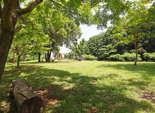 北八朔公園