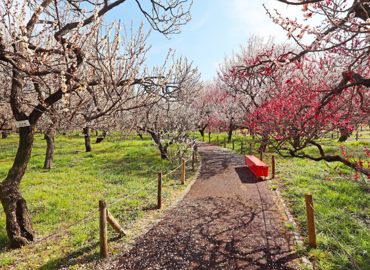 府中市郷土の森公園
