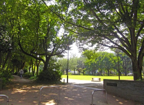 むさしの市民公園