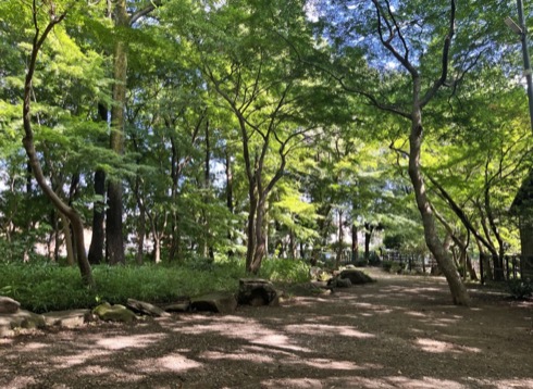 浴恩館公園