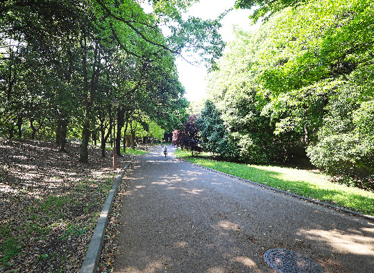 光が丘公園