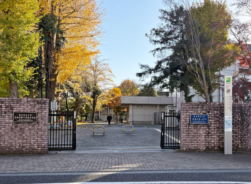 東京学芸大学附属大泉小学校