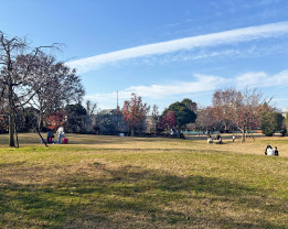 練馬区立石神井松の風文化公園