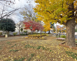 練馬区立東大泉つばき緑地