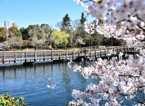 井の頭恩賜公園