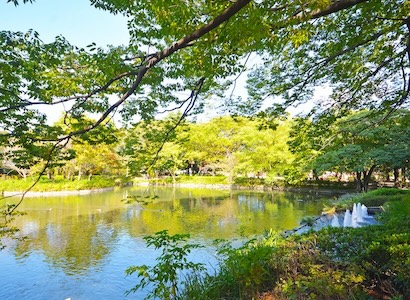 ロケーション／杉並区本天沼、下井草駅・荻窪駅が生活圏の新築一戸建て