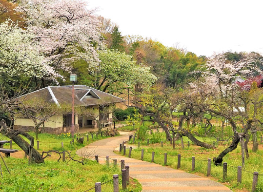 大倉山公園