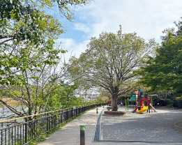 小池公園