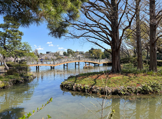 洗足池公園