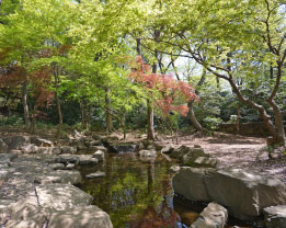 岡本公園