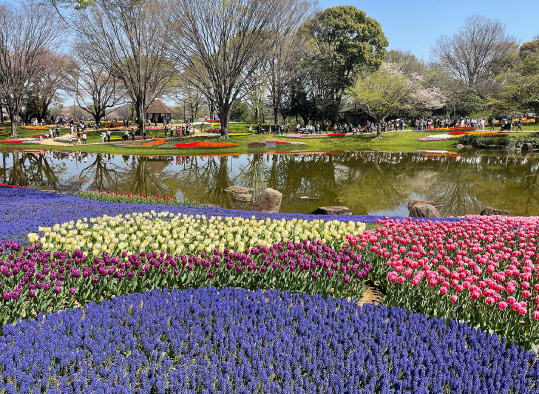 国営昭和記念公園