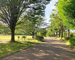 西ケ原みんなの公園