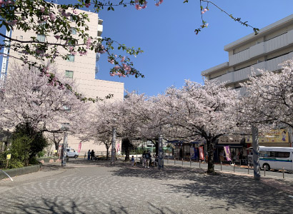 街区／豊島区駒込の土地・宅地物件。住宅も店舗も賃貸にも適した利便性の高い宅地